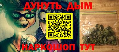 сатива Малгобек