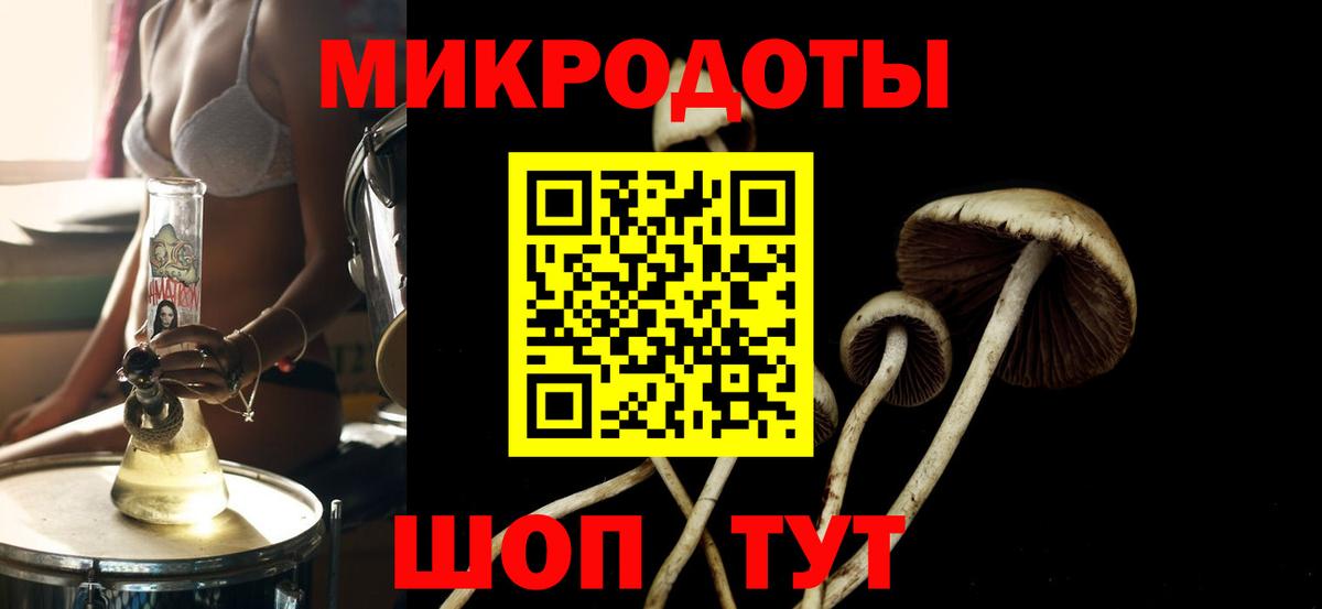 Псилоцибиновые грибы GOLDEN TEACHER Городец